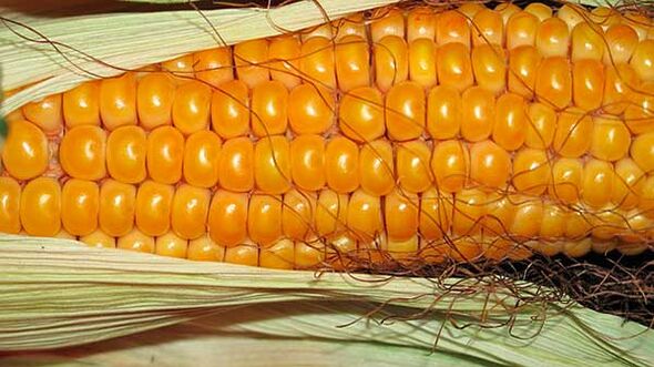 O que não comer na dieta cetônica